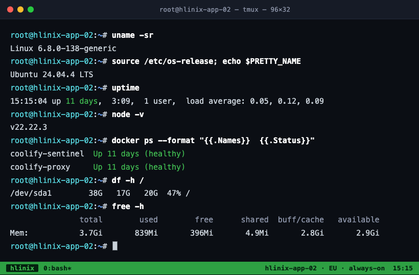 Live session on a Hlinix EU VPS — a tmux terminal showing system status and Docker containers